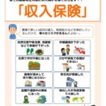 全体版