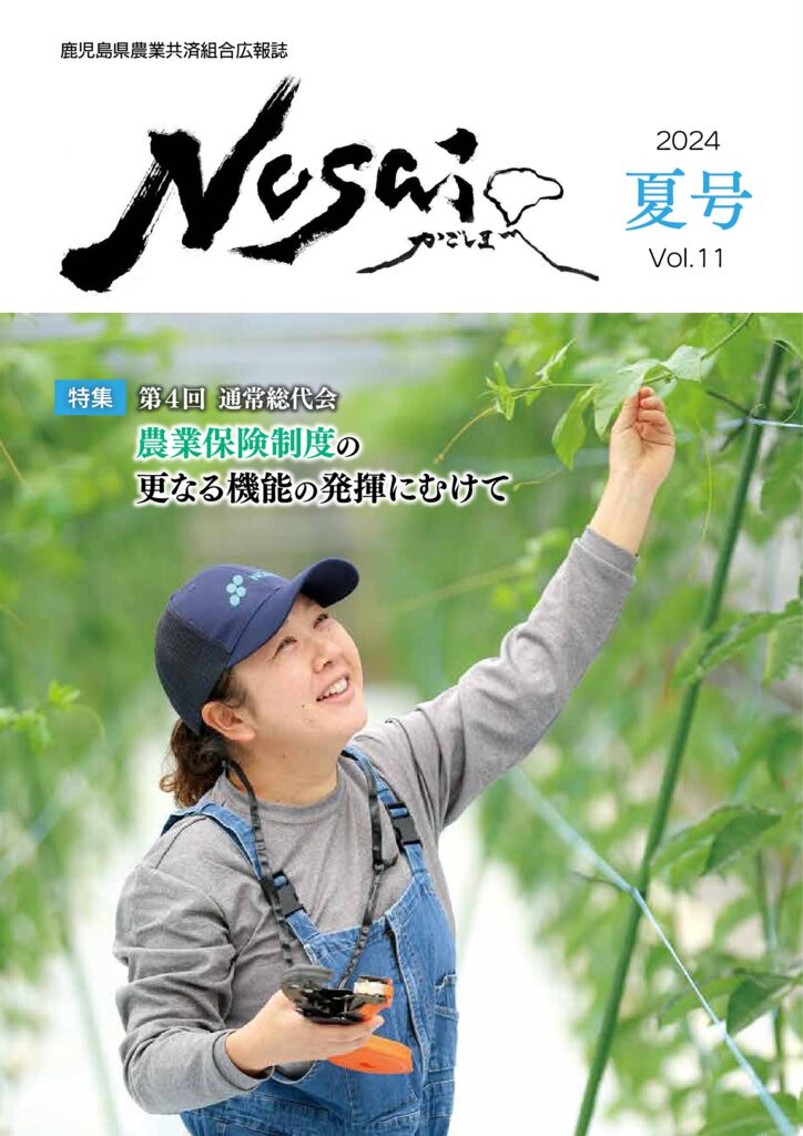 kouhou2023summer